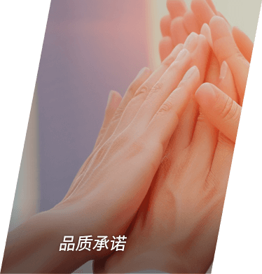品质承诺