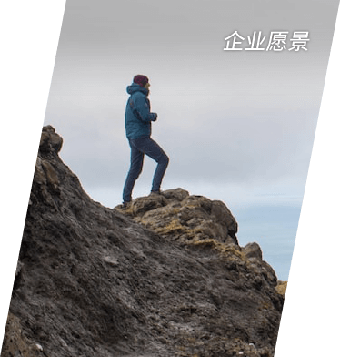 企业愿景
